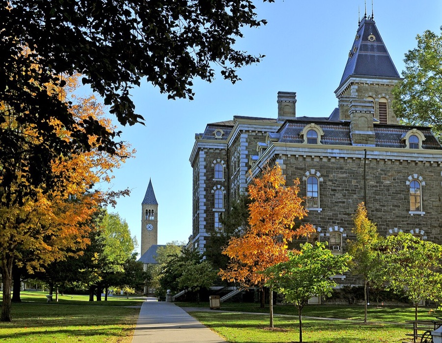 A university campus quad in autumn