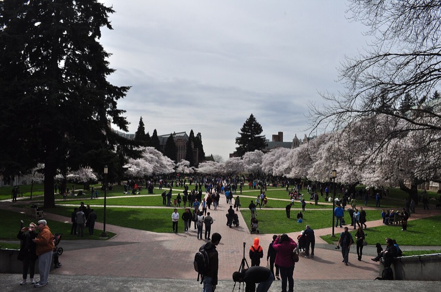 Students on a college campus
